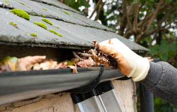 gutter cleaning Bucklands, Scottish Borders