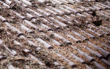 Bucklands roof cleaning companies