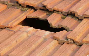 roof repair Bucklands, Scottish Borders